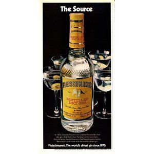 1974 Fleischmann's Dry Gin Vintage Print Ad Martini Cocktail Bar Wall Art Photo